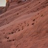 Delicate Arch